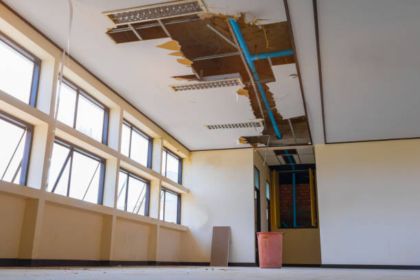 Best Mold removal after water damage  in West Laurel, MD