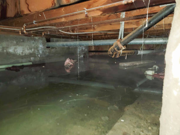 Best Emergency water damage restoration  in West Laurel, MD