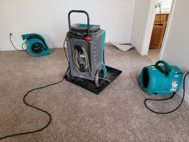  West Laurel, MD Water damage restoration Pros