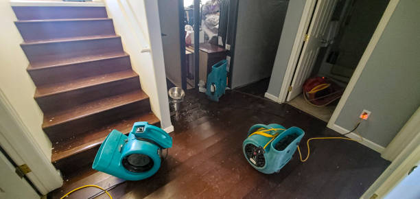 Best 24/7 water damage repair  in West Laurel, MD
