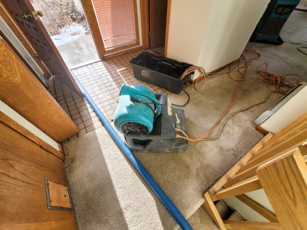 Best 24-hour water damage restoration  in West Laurel, MD