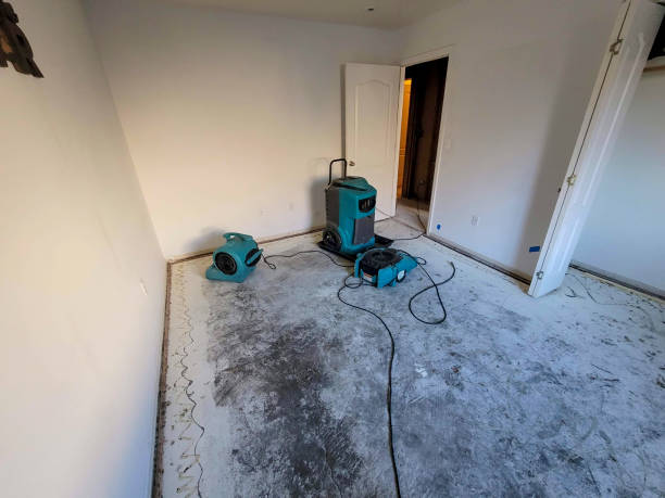 Best 24-hour water damage restoration  in West Laurel, MD