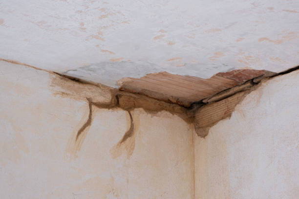Best Flood damage cleanup  in West Laurel, MD