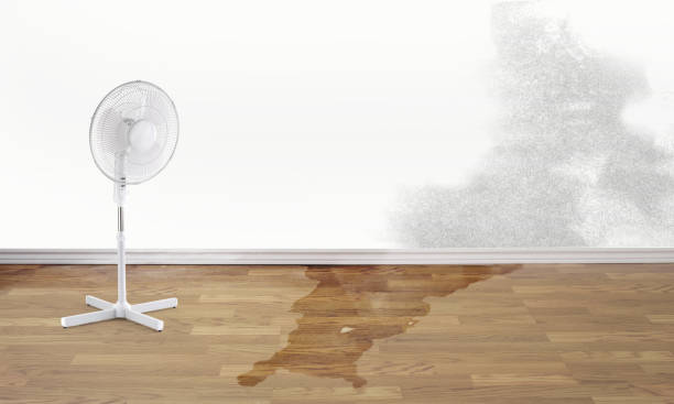 Best Ceiling water damage repair  in West Laurel, MD