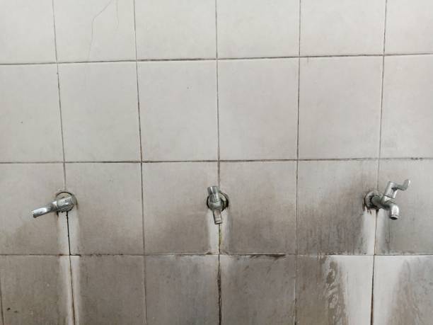 Best Flood damage cleanup  in West Laurel, MD
