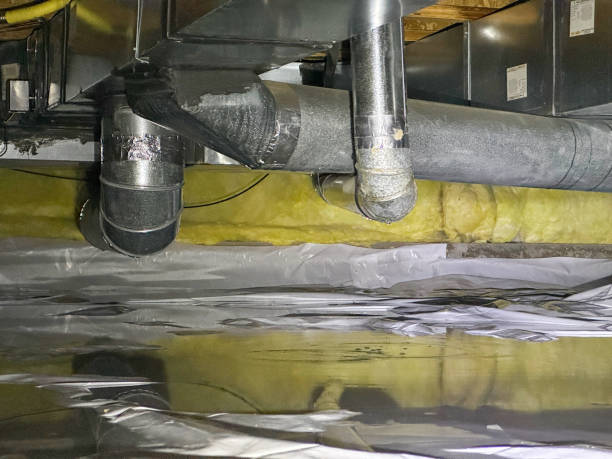 Best Professional water damage repair  in West Laurel, MD