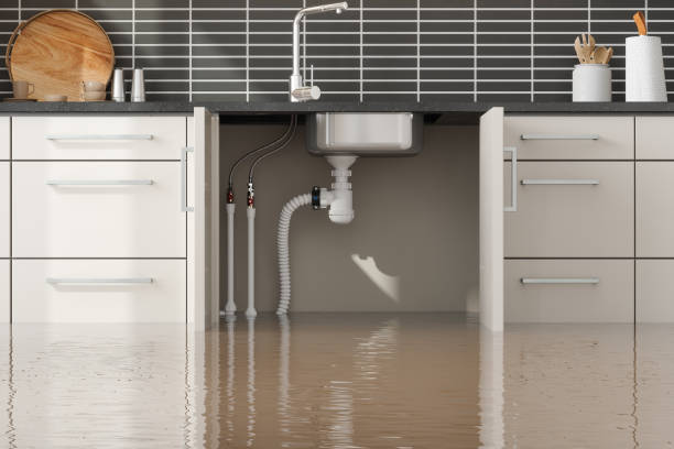 Carpet water damage restoration in West Laurel, MD