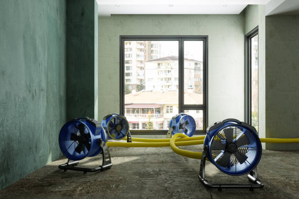 Water damage restoration experts in West Laurel, MD
