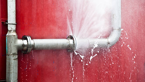 Best Flood restoration services  in West Laurel, MD
